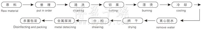 脱水蔬菜带式干燥工艺流程